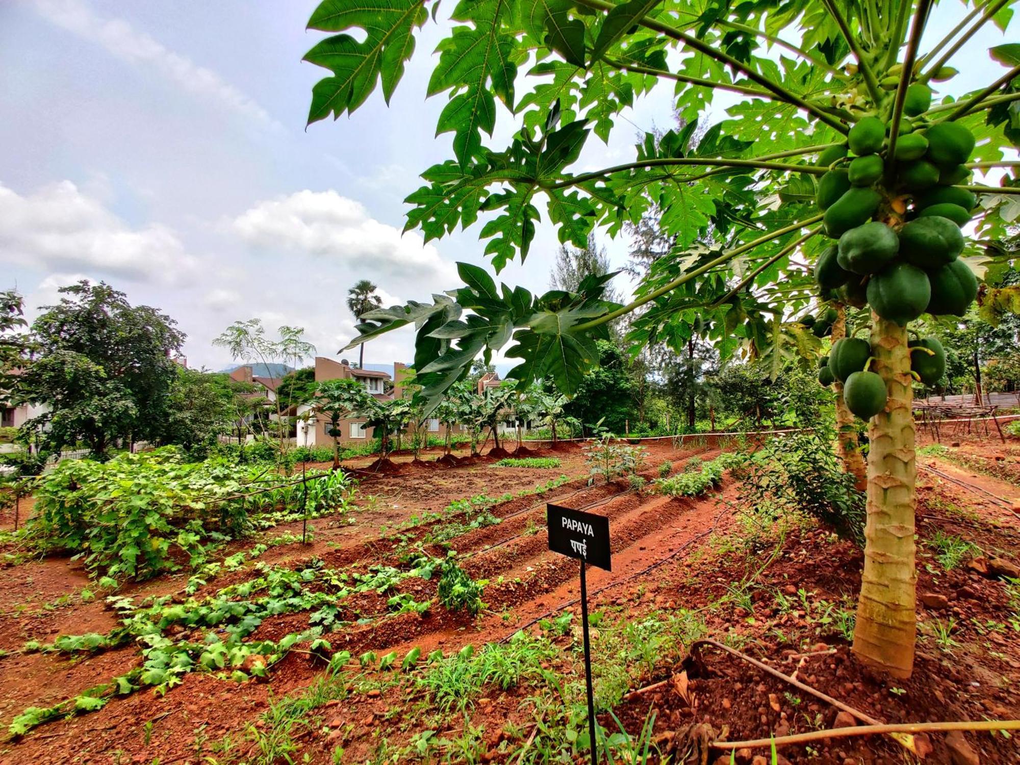 Pushpam Sanskruti Resort Karjat - A Pure Veg Resort Dhamni Dış mekan fotoğraf