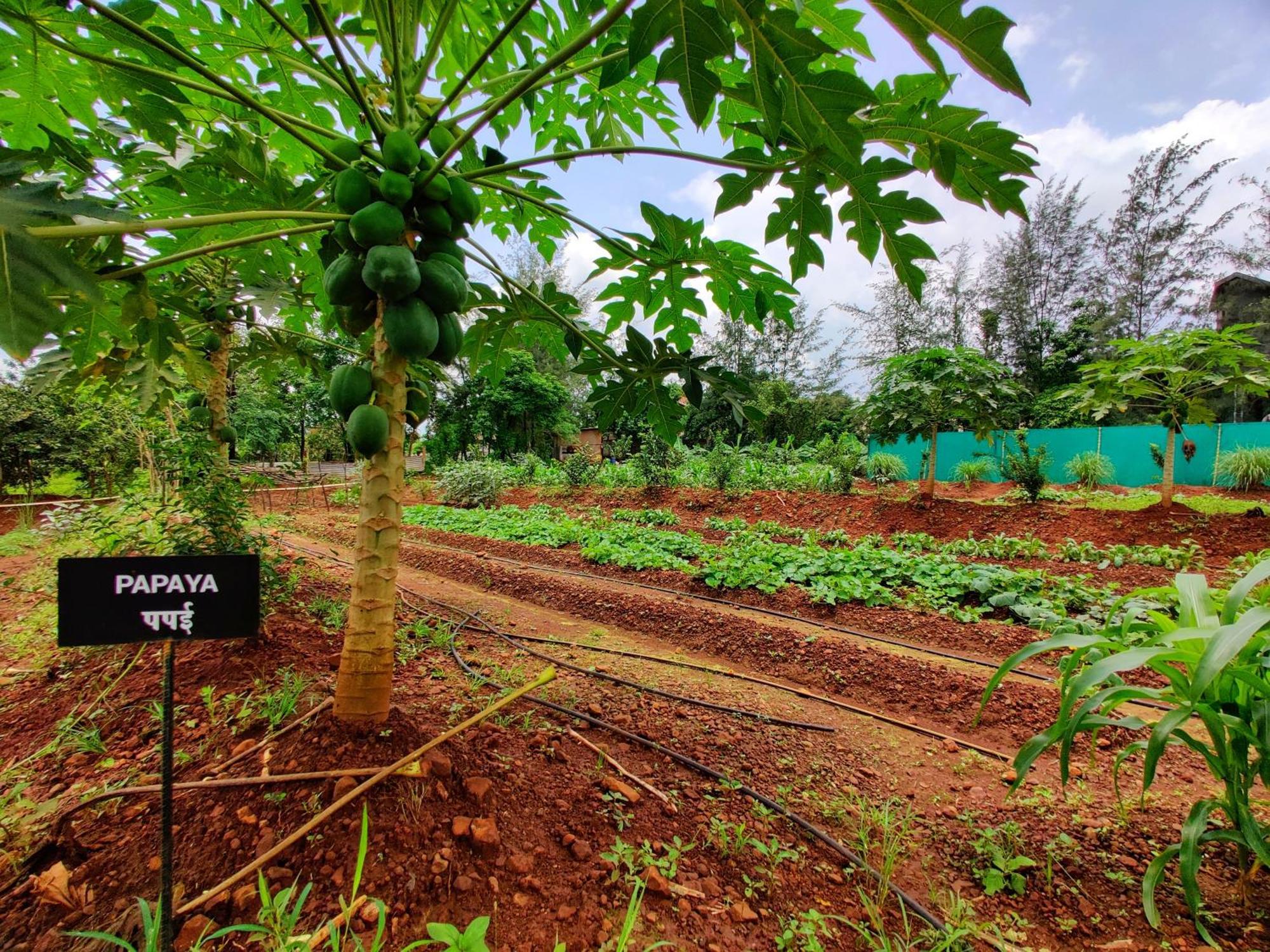 Pushpam Sanskruti Resort Karjat - A Pure Veg Resort Dhamni Dış mekan fotoğraf